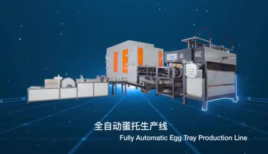 Automático com função de secagem bandeja de ovos preço máquina de caixa de polpa de moldagem de alta qualidade