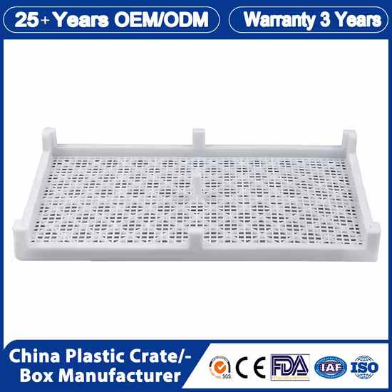 Venda por grosso de 600X800X75mm preço barato HDPE grau alimentício empilhável agricultura secagem bandeja plástica para secagem de frutos do mar/frutas/legumes/massas de sabão/cogumelos/drogas