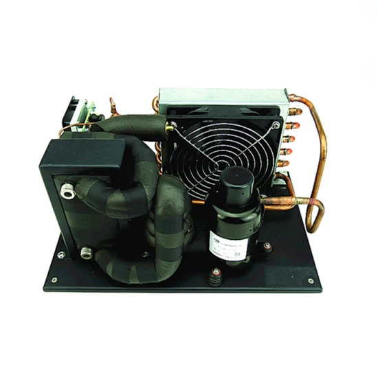 Preço de fábrica mini equipamento de resfriamento 12V 24V 48V unidade de módulo de resfriador de líquido recirculante Fsch019z12b